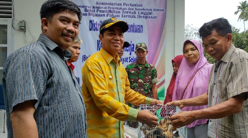 Bupati Buton Salurkan Bantuan 53.600 Ekor Bibit Ayam