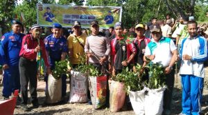 Bhabinkamtibmas dan Pol Airut Tanam 900 Pohon Mangrove