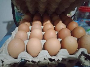 Heboh, Isu Makan Telur Satu Biji Sembuhkan Corona