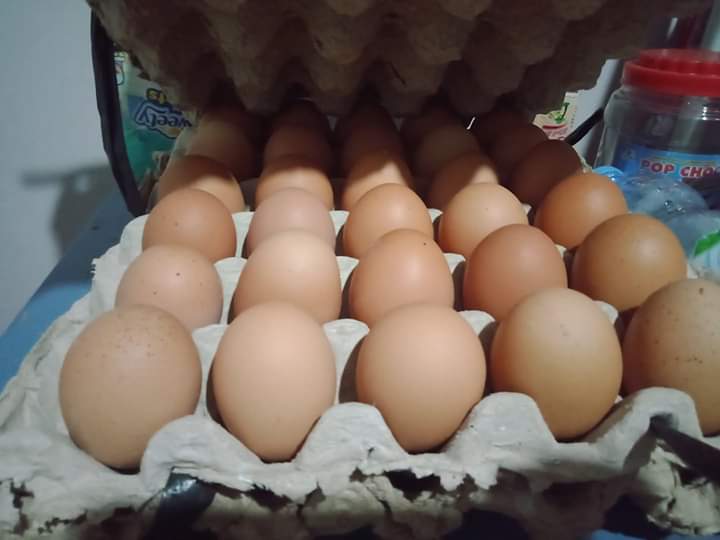 Heboh, Isu Makan Telur Satu Biji Sembuhkan Corona