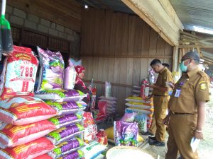 3000 Ton Beras Bakal Dipanen