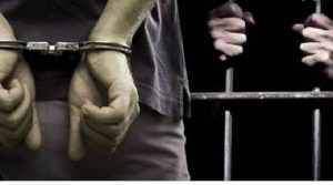 Tersangka Pencurian Sapi di Wolowa Bertambah