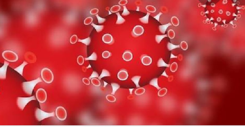 ODP COVID-19 Di Busel Meninggal