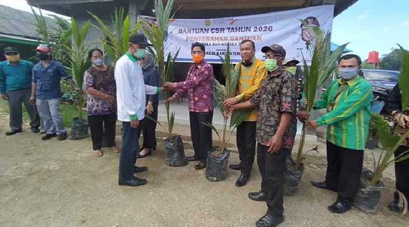 Tak Ada Pesta Meriah, Peringatan Hari Jadi Ke - 17 Kota Pasarwajo Ditengah Pandemi Tak Ada Pesta Meriah, Peringatan Hari Jadi Ke - 17 Kota Pasarwajo Ditengah Pandemi