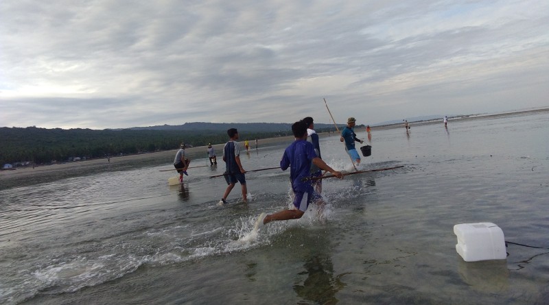 Cara Unik, Nelayan Tradisional Wabula Menangkap Ikan