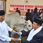 Gubernur Sultra dan Ketua TP PKK kurban 21 Ekor Sapi