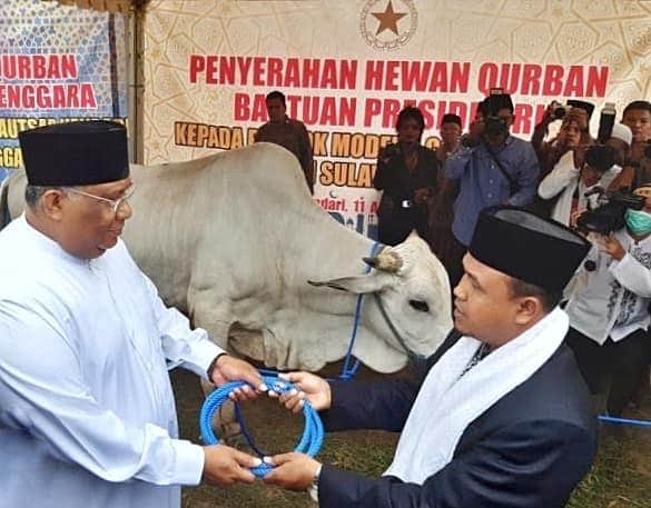 Gubernur Sultra dan Ketua TP PKK kurban 21 Ekor Sapi Gubernur Sultra dan Ketua TP PKK kurban 21 Ekor Sapi