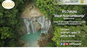 Destinasi Wisata Hutan Lambusango Masuk Nominasi Wisata Olahraga dan Petualangan Terpopuler API Award