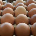 Harga Telur Ayam Di Pasar Wameo Turun
