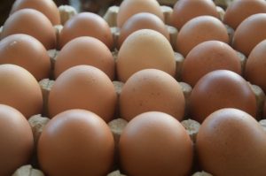 Harga Telur Ayam Di Pasar Wameo Turun