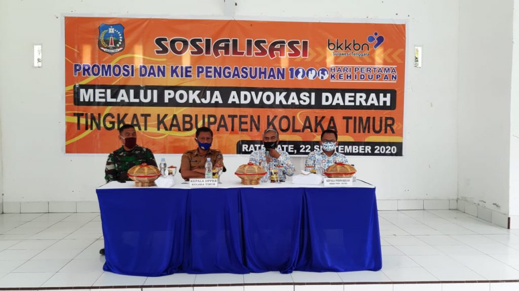 Sosialisasikan 1000 HPK di Kolaka Timur, BKKBN Sultra Gandeng Pokja Advokasi