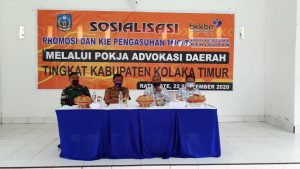 Sosialisasikan 1000 HPK di Kolaka Timur, BKKBN Sultra Gandeng Pokja Advokasi