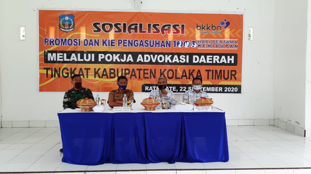 Sosialisasikan 1000 HPK di Kolaka Timur, BKKBN Sultra Gandeng Pokja Advokasi