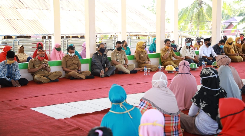 Banyak Kandungan Vitamin, Bupati Buton Himbau warga Konsumsi Daun Kelor