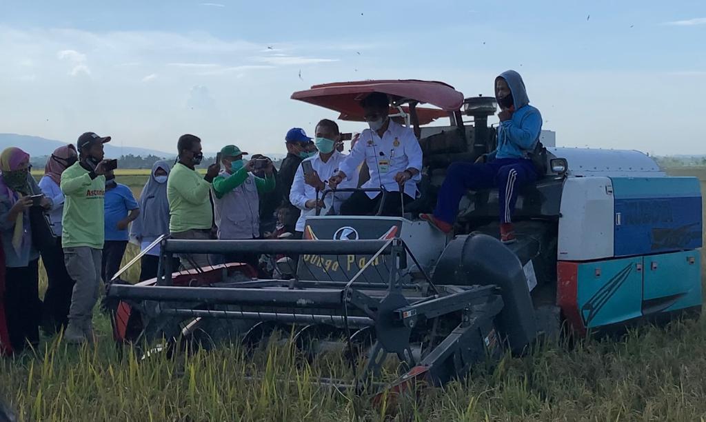 Panen Raya di Konsel, Mentan Sebut Petani Adalah Pahlawan