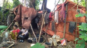 Kisah Nenek Wa Puti, Hidup Sebatang Kara di Gubuk Reot, Sering Digigit Tikus