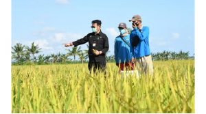 Menkeu: APBN 2021 Fokus Untuk Mewujudkan Ketahanan Pangan