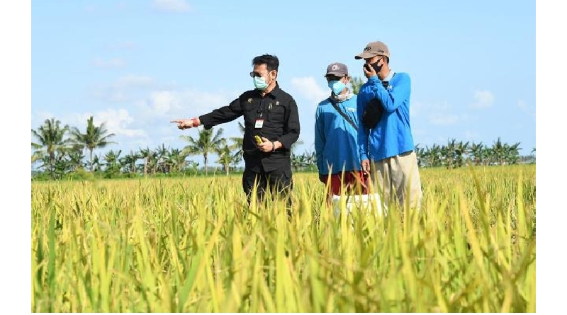 Menkeu: APBN 2021 Fokus Untuk Mewujudkan Ketahanan Pangan