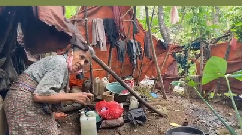Kisah Nenek Wa Puti, Hidup Sebatang Kara di Gubuk Reot, Sering Digigit Tikus