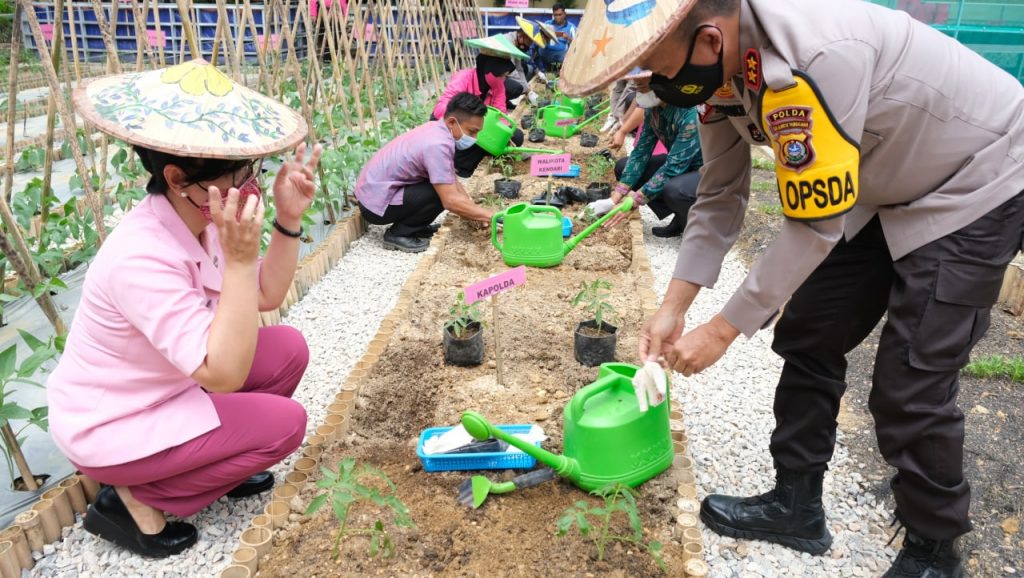 Bhayangkari Sultra Ikut Jaga Ketahanan Pangan Saat Pandemi COVID-19 Bhayangkari Sultra Ikut Jaga Ketahanan Pangan Saat Pandemi COVID-19