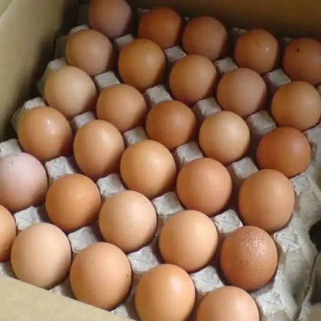Jelang Libur natal dan Tahun Baru, Harga Telur Ayam di Baubau Naik