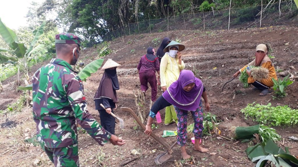 Pangdam XIV/Hasanudin Ajak Warga Manfaatkan Lahan Tidur