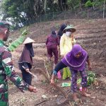 Pangdam XIV/Hasanudin Ajak Warga Manfaatkan Lahan Tidur