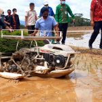 Pemkot kendari Lakukan Penamanan Serentak Sawah Seluas 400 Hektare