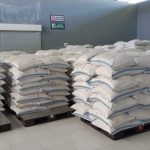 Terkendala Izin, Ekspor Tepung Rumput Laut Asal Bombana ke China Tertunda