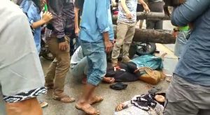 Seorang Pengendara Motor di Baubau Tewas Tertimpa Pohon Tumbang