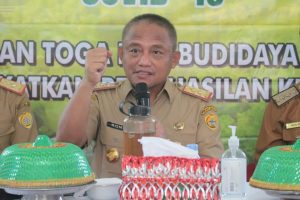 Pemkot Baubau Akan Jadikan Surawolio Sebagai Kawasan Tempat Penanaman Jagung