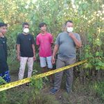 Warga Baubau Dihebohkan Penemuan Mayat Bayi Perempuan Di Semak-semak
