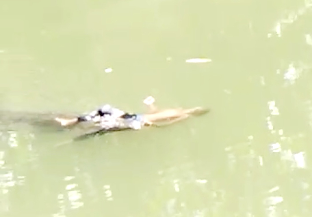 Usai Mandi di Sungai, Bocah SMP di Buton di Terkam Buaya