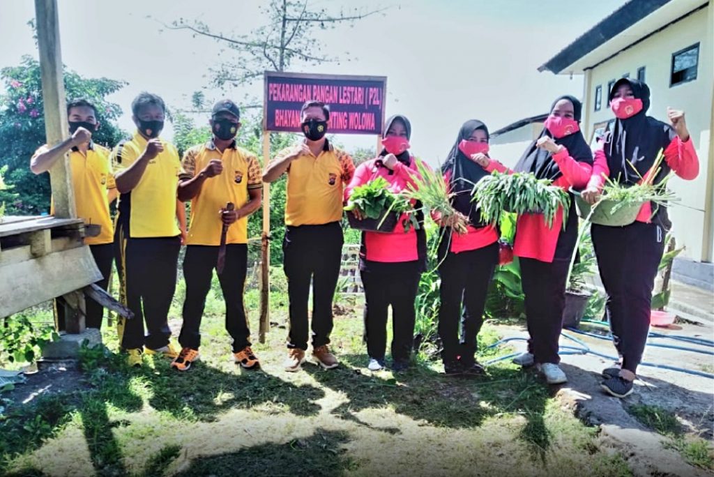 Kapolsek dan Ketua Bhayangkari Ranting Wolowa Panen Sayur di Kebun P2L
