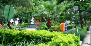 Diduga Anggaran Pembangunan Taman Kota Diselewengkan, Mantan Kades Burangasi Rumbia Dilaporkan ke Polres Buton
