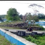 Gempa M 7,4 Dirasakan di Dusun Hone Pasarwajo, Warga Panik Berlarian