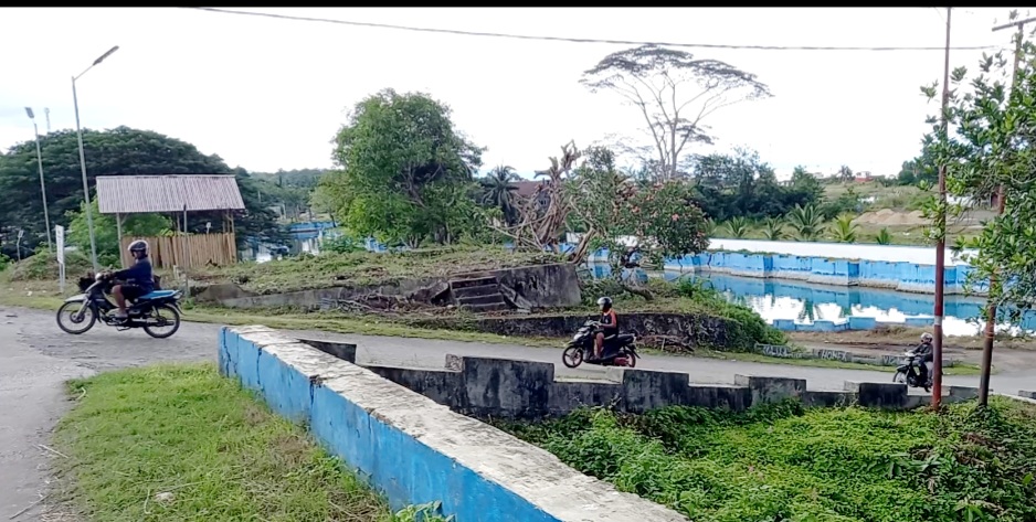 Gempa M 7,4 Dirasakan di Dusun Hone Pasarwajo, Warga Panik Berlarian