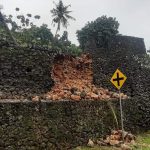 Cuaca Ekstrem, Benteng Keraton Buton Longsor Tertimpa Pohon Kelapa