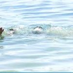 Seorang Remaja Hilang Terseret Arus Sungai Konaweha