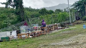 Hujan Disertai Angin Sebabkan Banjir dan Pohon Tumbang