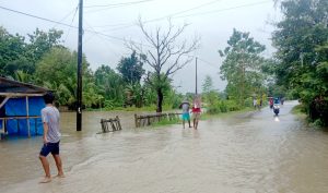 Hujan Disertai Angin Sebabkan Banjir dan Pohon Tumbang