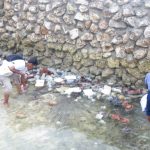 DFW Gelar Kampanye Lingkungan Laut di Wabula