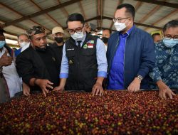 Ridwan Kamil Lepas Ekspor Kopi Garut ke Belanda