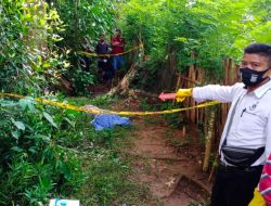 Warga Buton Tewas Tersengat Listrik di Pagar Kebun