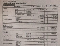 Istri Wartawan Donorkan Ginjalnya untuk Kakak, Kini Butuh Bantuan Dana