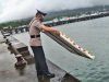 Jelang Puncak Hari Bhayangkara Ke 76 Wakapolres Buton Pimpin Upacara Tabur Bunga