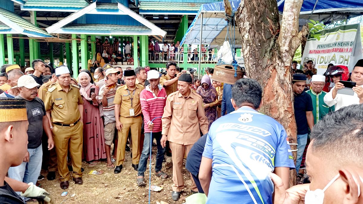 Gubernur Serahkan Sapi Kurban Presiden RI Kepada Bupati Buton Gubernur Serahkan Sapi Kurban Presiden RI Kepada Bupati Buton