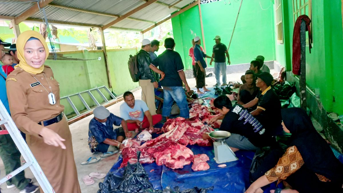 Gubernur Serahkan Sapi Kurban Presiden RI Kepada Bupati Buton Gubernur Serahkan Sapi Kurban Presiden RI Kepada Bupati Buton