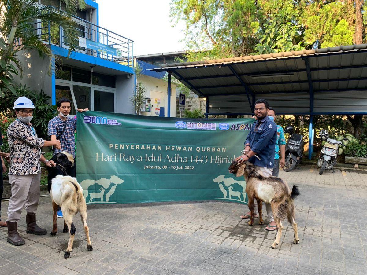 WIKA Bitumen dan Anak Usaha WIKA Aspal Menyerahkan 10 Hewan Kurban pada Idul Adha 1443 H WIKA Bitumen dan Anak Usaha WIKA Aspal Menyerahkan 10 Hewan Kurban pada Idul Adha 1443 H