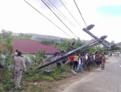 Tabrak Tiang Listrik, Mobil Kepala Bappeda Buton Ringsek